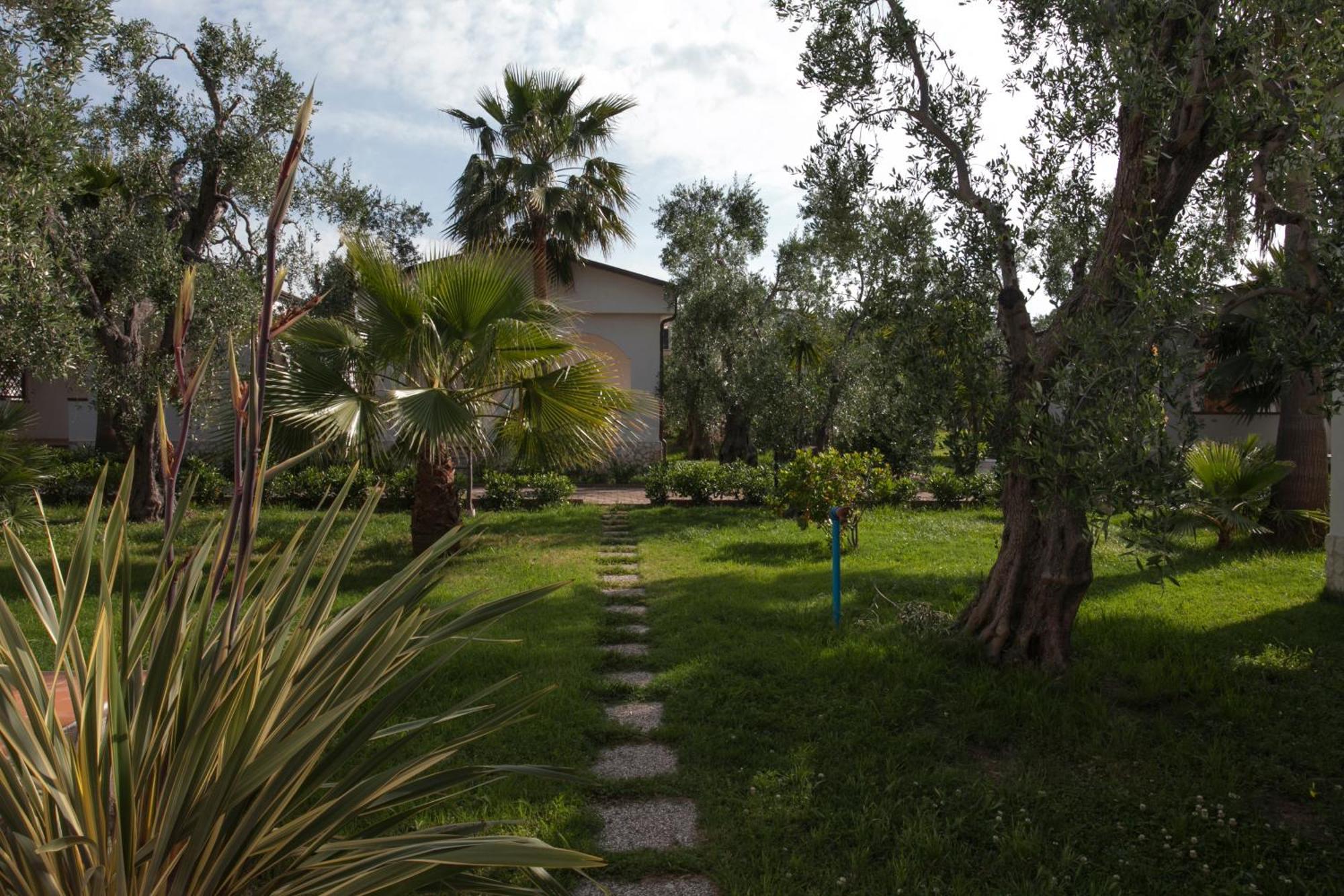 Villaggio Alba Chiara Vieste Camera foto